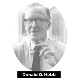 Finales de 1940, Donald Hebb creó una hipótesis de aprendizaje basado en el mecanismo de plasticidad neuronal (aprendizaje He