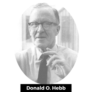 Donald O. Hebb (1904-1985) était un des psychologues les plus influents du 20ème siècle et est souvent considéré comme étant le père de la neuropsychologie.