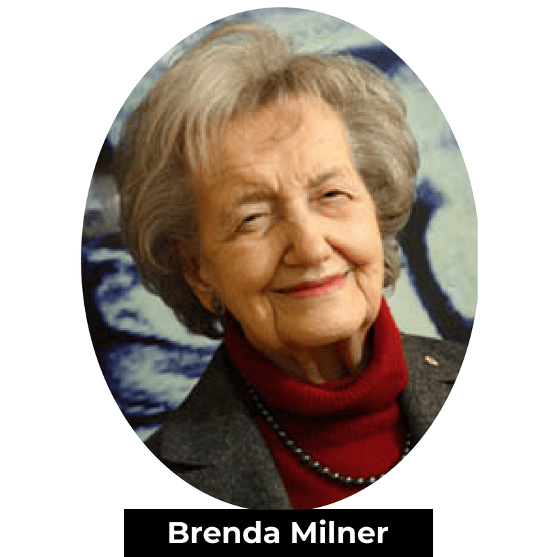 Brenda Milner est une des pionnières qui a inauguré le domaine des neurosciences cognitives. 