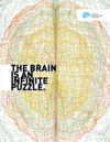 the brain is an infinite puzzle