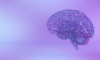 Célébration du partenariat continu entre la Fondation Brain Canada et l’Alzheimer’s Association
